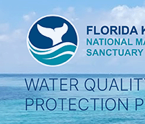NOAA_FWC logo.