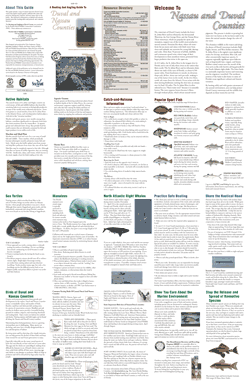 Image of Boating Guide Text