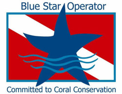 Blue Star logo