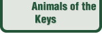 Animals of the Bay