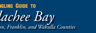 A Boating and Angling Guide to Apalachee Bay