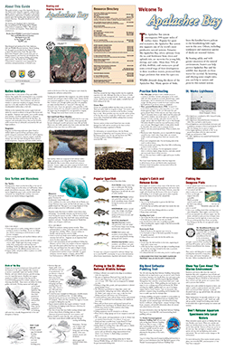 Image of Boating Guide Map
