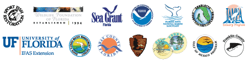 Logos of a BAG Partners