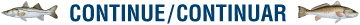 Continue into Web site