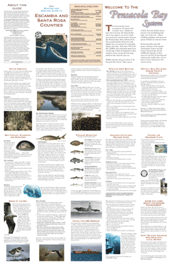 Image of Boating Guide Map