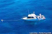A boat in the Keys tied up to a mooring buoy.