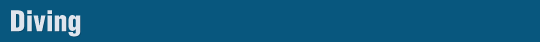 Diving Banner