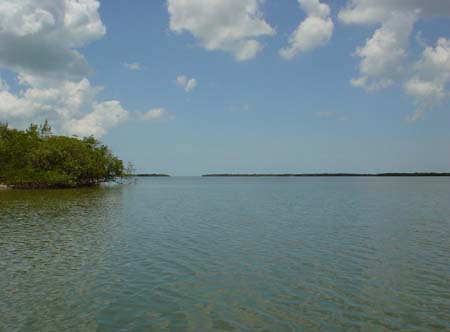 Boat Ramp Photo