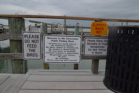 Fishing Pier Photo