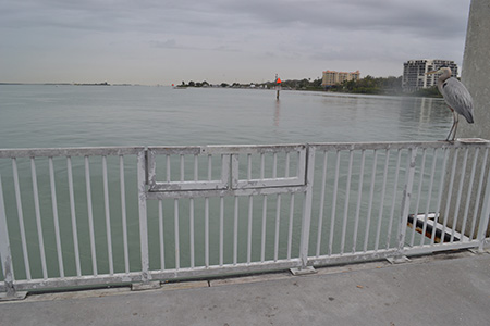Fishing Pier Photo