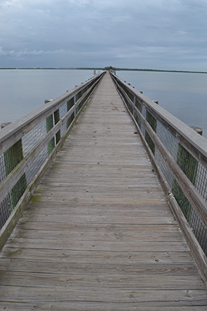 Fishing Pier Photo
