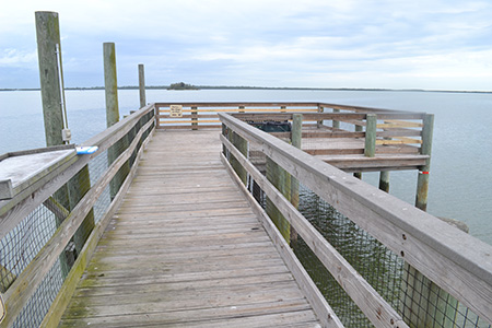 Fishing Pier Photo